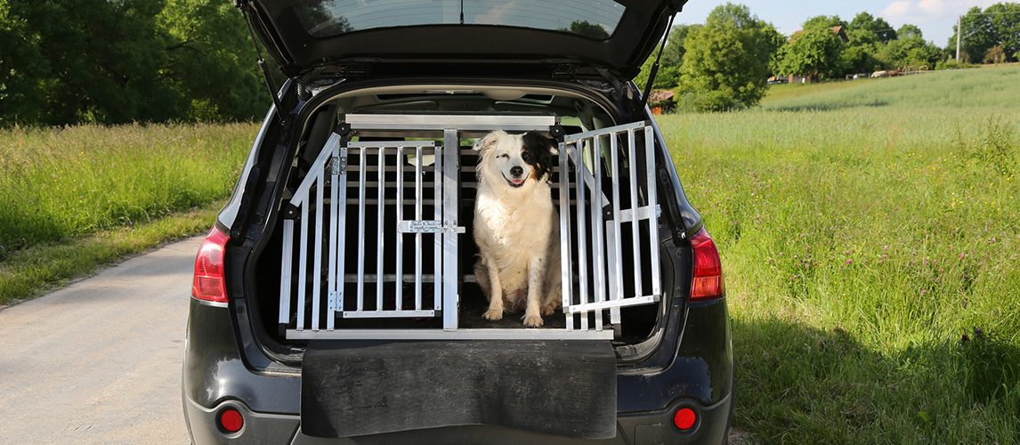 dog screen for suv