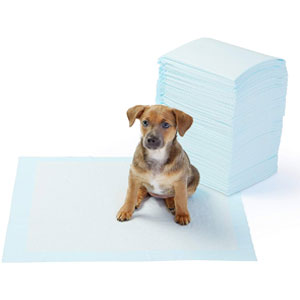 The Best Pee Pads For Dogs Review In 2020 Pet Side