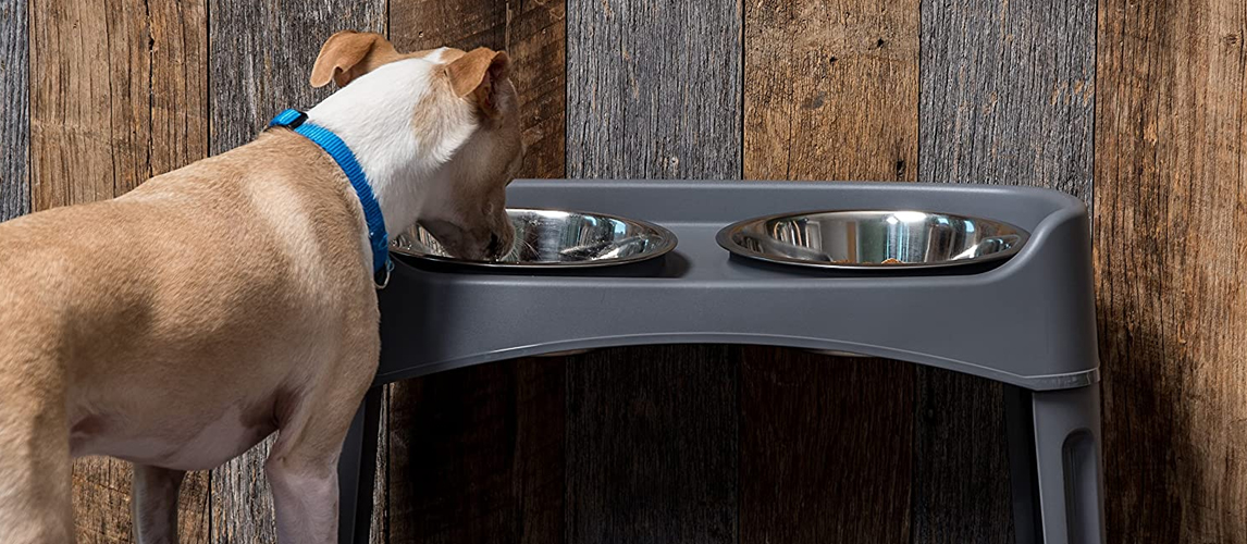 Dogit Elevated Dog Dish-White, Small - Hilton, NY - Pet Friendly