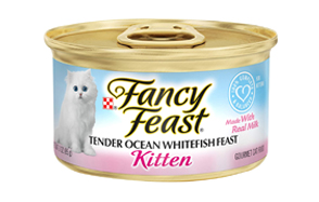 best kitten food on the market
