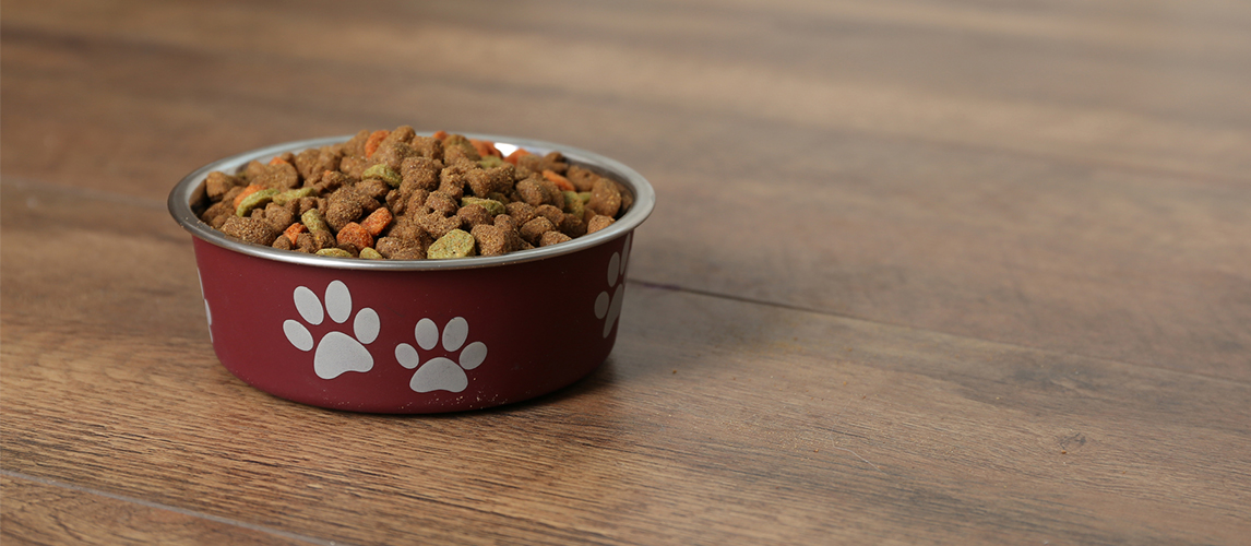 Dog food in bowl on floor at home