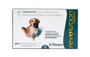 The Best Heartworm Medicine For Dogs Review In 2020 Pet Side