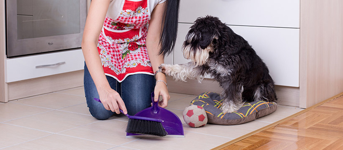 Woman Cleaning Dog Pad