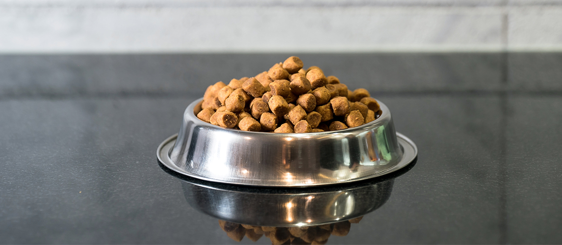 Benefits of Antioxidants in Dog Food | Pet Side