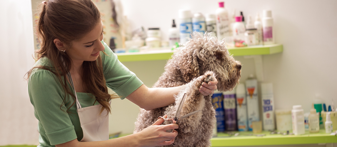 how do you get matted hair off a dog