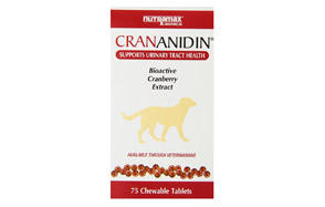best cranberry supplement for dogs