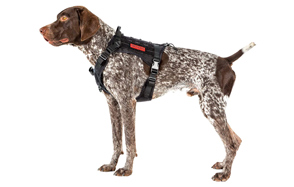 tactical dog harness near me