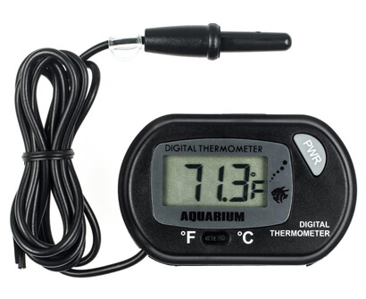 Most Accurate, Affordable Aquarium Thermometers on The Market
