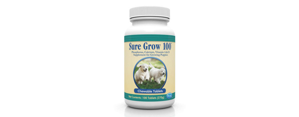 The Best Calcium Supplement For Dogs Review In 2020 Pet Side