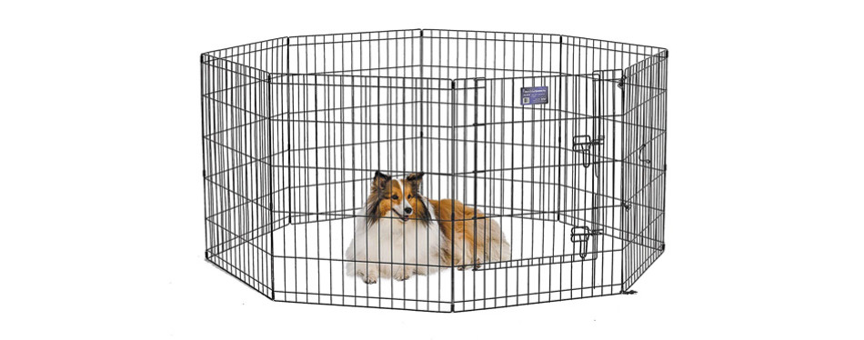 The Best Dog Playpens Review In 2020 Pet Side